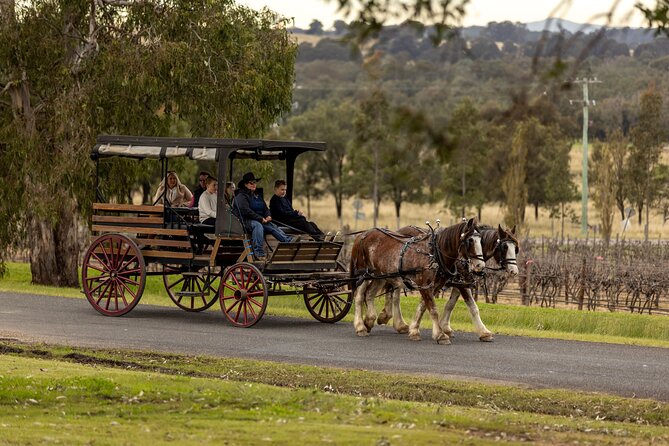 3- Hour Wine and Harvest the Hunter Horse Tour in Pokolbin - Starting at 426 McDonalds Road