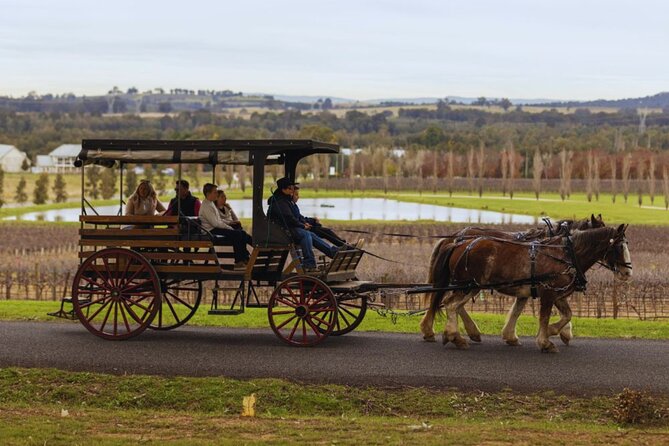 3- Hour Wine and Harvest the Hunter Horse Tour in Pokolbin - Stop two: cheese, chocolate, or both