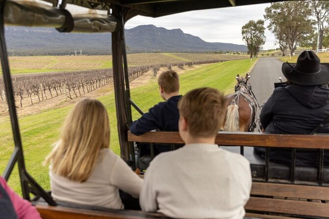 3- Hour Wine and Harvest the Hunter Horse Tour in Pokolbin - The carriage ride through Pokolbin