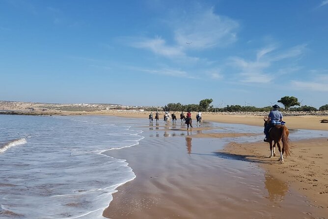 3 hours horse riding in Essaouira, beach, forest and dunes - Passing dunes and a traditional fishing village