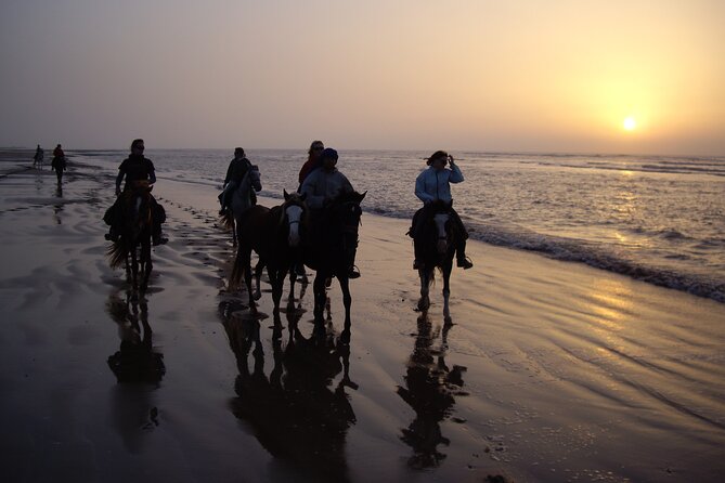 3 hours horse riding in Essaouira, beach, forest and dunes - Returning through eucalyptus and mimosa forest