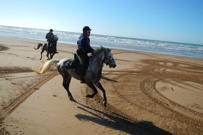3 hours horse riding in Essaouira, beach, forest and dunes - Choosing between the 10:00 ride and the sunset departure