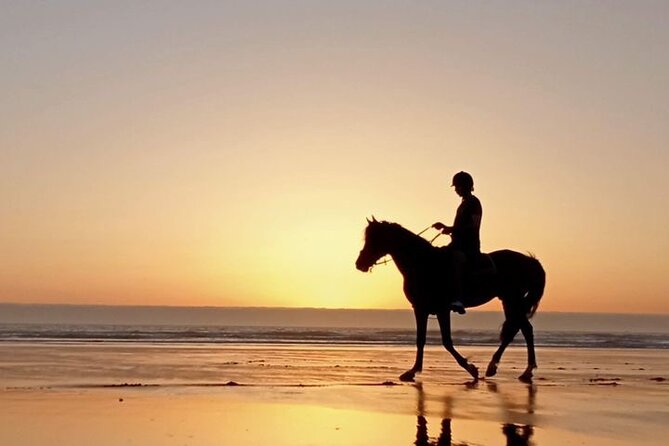 3 hours horse riding in Essaouira, beach, forest and dunes - Practical details that can affect your day