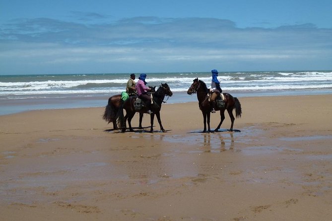 3 hours horse riding in Essaouira, beach, forest and dunes - Riding the open beach toward the dunes