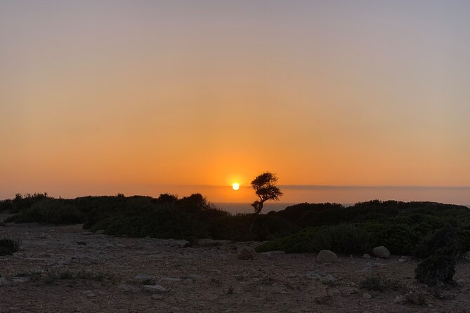 3 Hours Horse Riding with Dinner and Overnight Berber Camp - What the guide adds to the day