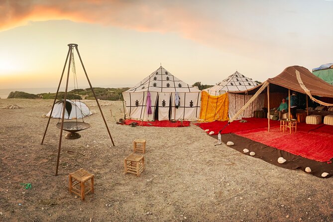 3 Hours Horse Riding with Dinner and Overnight Berber Camp - Is the $216.84 price good value?