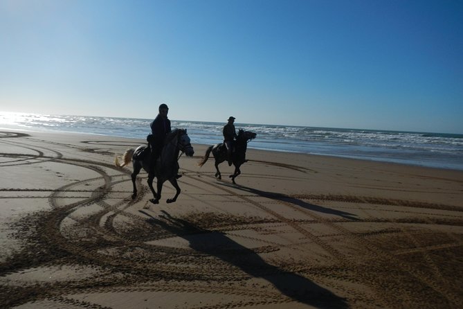 3 Hours Horse Riding with Dinner and Overnight Berber Camp - Following Essaouira’s beach toward the dunes