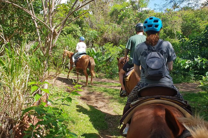 3 Hours Horseback Riding from Nature Trails to Sofa Stone - Horses, guides, and the level of care