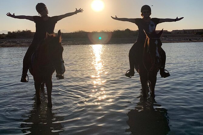 3 Hours Swimming By Horse in Red Sea Riding on the Beach and Dessert - Hurghada - One hour across the desert