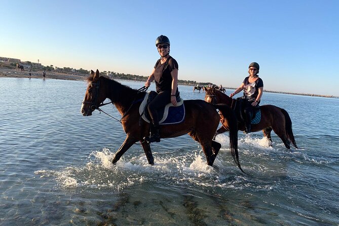 3 Hours Swimming By Horse in Red Sea Riding on the Beach and Dessert - Hurghada - Swimming with a horse in the Red Sea