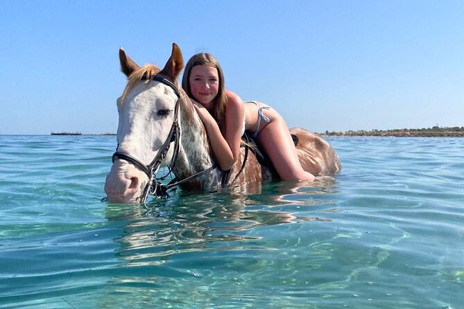 3 Hours Swimming By Horse in Red Sea Riding on the Beach and Dessert - Hurghada - What the staff do well, and where service can vary