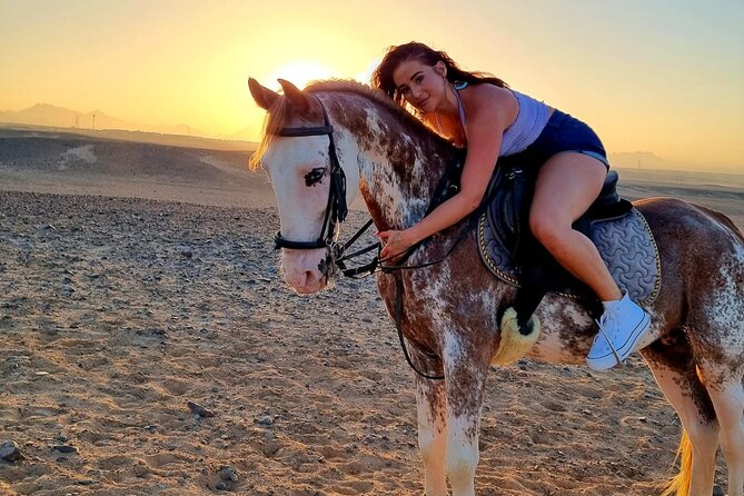 3 Hours Swimming By Horse in Red Sea Riding on the Beach and Dessert - Hurghada - Is $59 a good value?