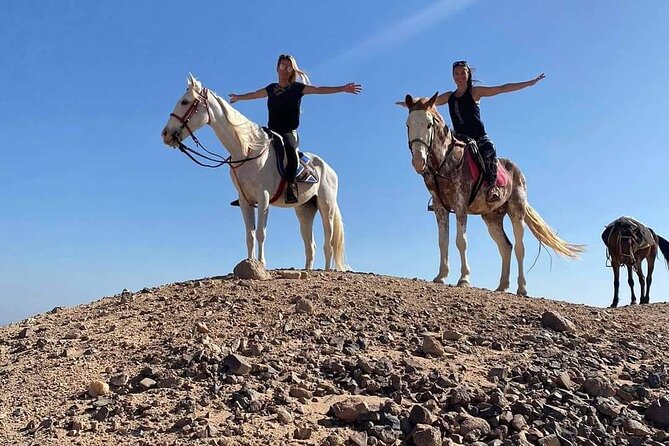 3 Hours Swimming By Horse in Red Sea Riding on the Beach and Dessert - Hurghada - Who should book this Hurghada horse ride?
