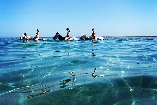 3 Hours Swimming By Horse in Red Sea Riding on the Beach and Dessert - Hurghada - Getting comfortable with the horses