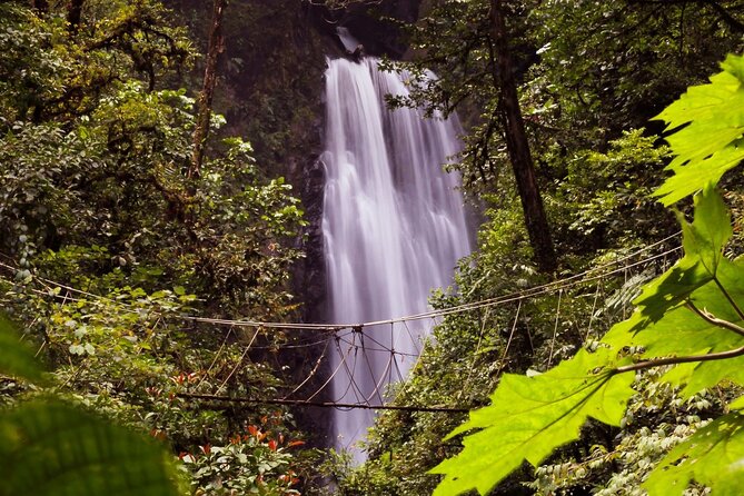 3-in-1 Monteverde Cloud Forest Waterfalls, Wild Trekking and Horseback Riding - Starting high above the Monteverde forest