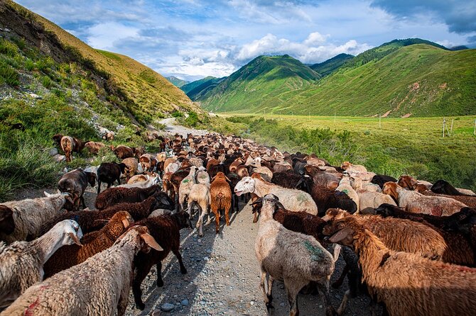 4 Days Issyk Kul & Chon Kemin: Horse Riding and Nomadic Yurt Stay - Three hours on horseback in Chon Kemin
