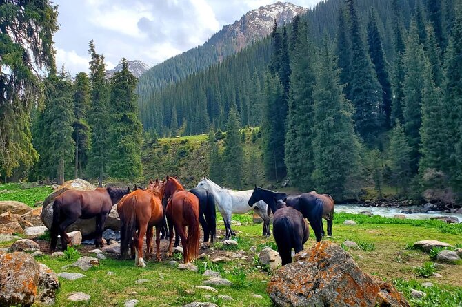 4 Days Issyk Kul & Chon Kemin with Nomadic Stay, Horse riding - Who will get the most from this tour?