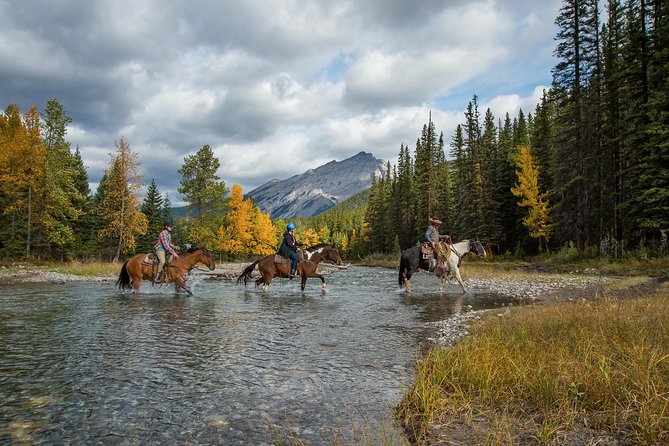 4 Hour Sulphur Mountain Horseback Ride - What the four hours feel like in practice
