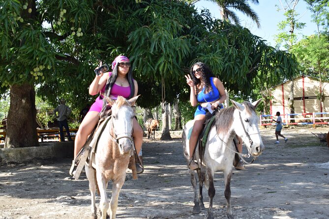 5 tours in 1 (Eco Farm/Horseback/City Tour/Buggy/Zipline) - One day, five very different Punta Cana experiences