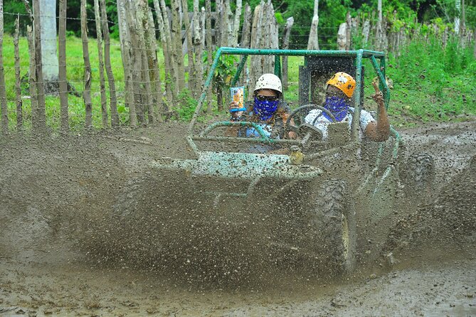 5 tours in 1 (Eco Farm/Horseback/City Tour/Buggy/Zipline) - What the $119.99 price really covers