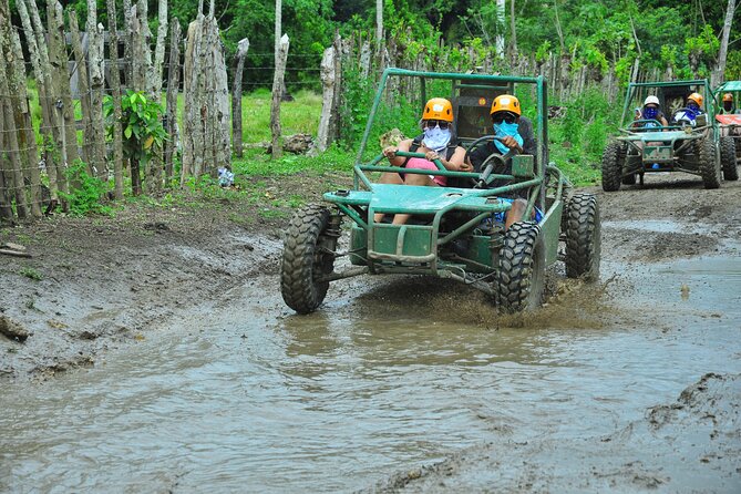 5 tours in 1 (Eco Farm/Horseback/City Tour/Buggy/Zipline) - Coffee, cocoa, and the small family farm