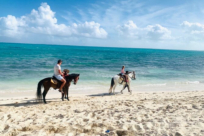 60-Minute Private Horseback Riding Experience in Turks and Caicos - Transportation and meeting details that matter