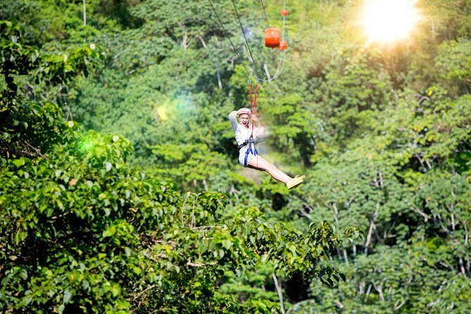 7 Tours Punta Cana: Zipline, Chairlift, ATV, Ride Horses, & More! - The zip lines are the main event