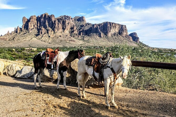 A Day In The Old West Adventure including Horseback Ride and Cowboy Lunch - Is $325 a Fair Price?