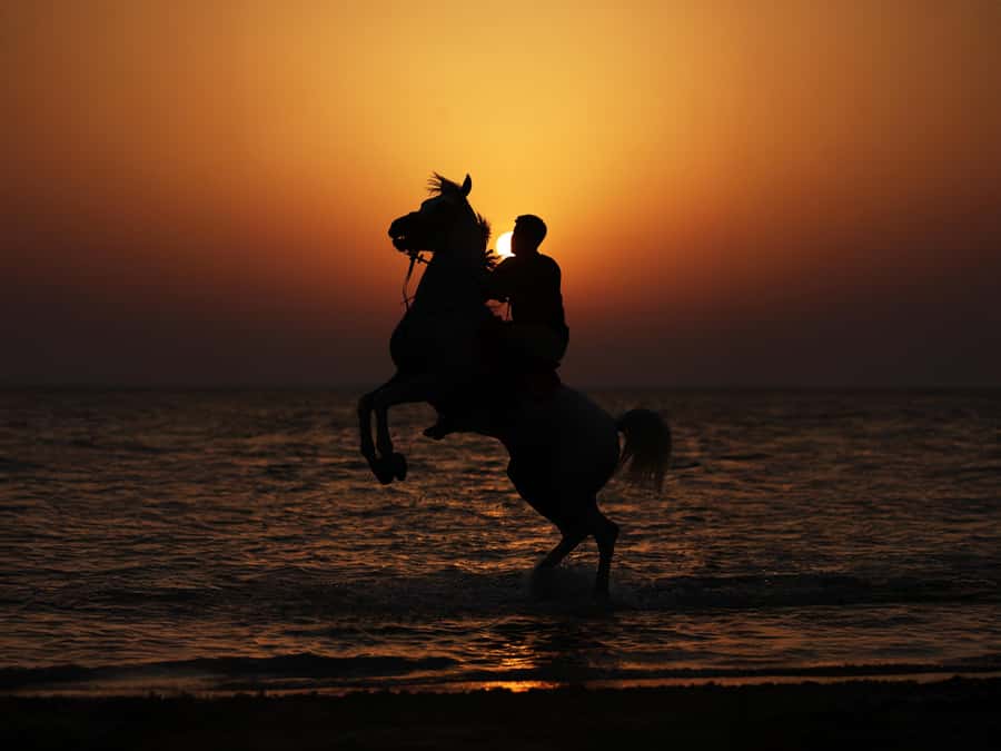 Abu Dhabi: Hudairiyat Island Horse Riding Experiences - The 30-minute Beach Horse Ride