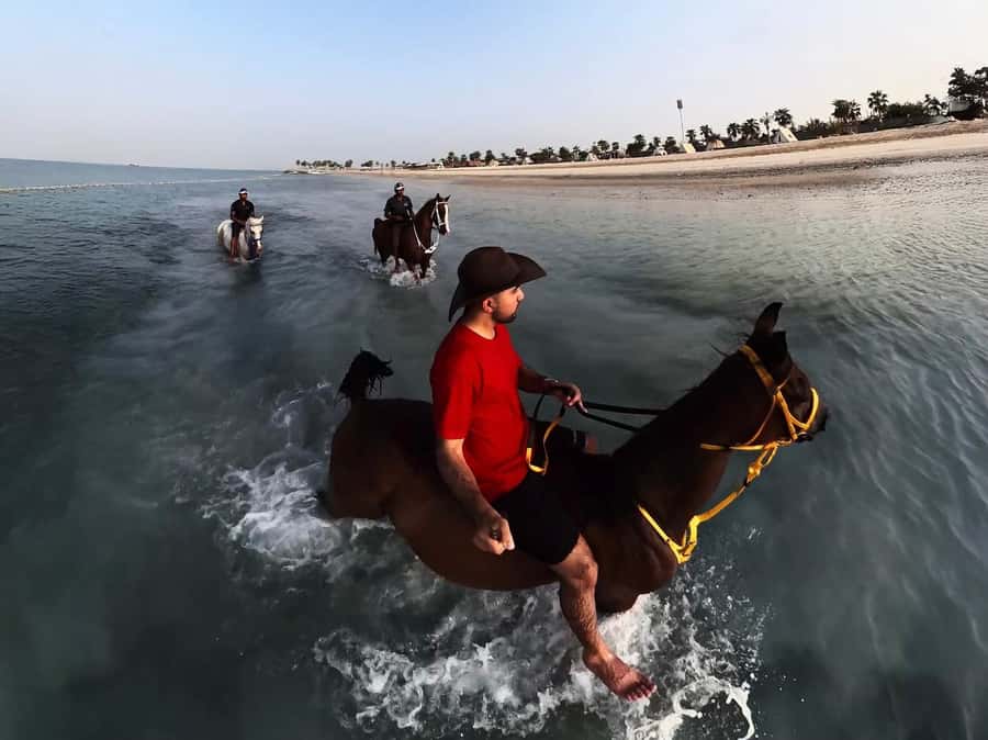 Abu Dhabi: Hudairiyat Island Horse Riding Experiences - Is 30 minutes worth $72?