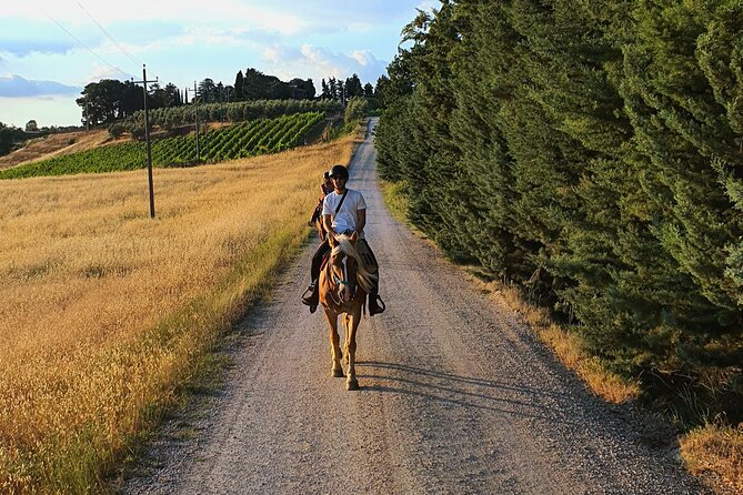 Adventure on horseback in the Tuscan countryside - Key points to know before you book