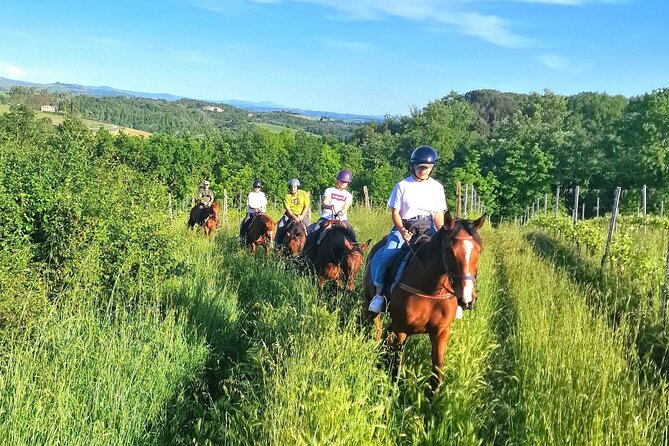 Adventure on horseback in the Tuscan countryside - Riding through hills, vineyards, and olive groves