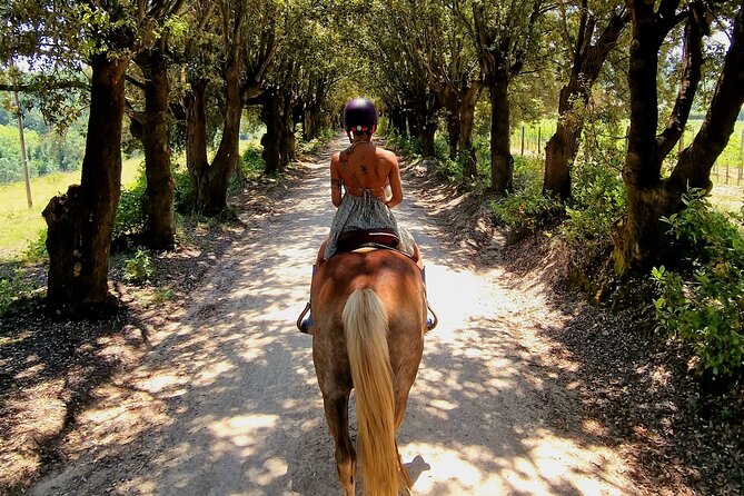 Adventure on horseback in the Tuscan countryside - The farm welcome and a possible wine tasting