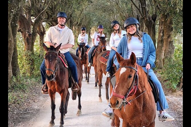 Adventure on horseback in the Tuscan countryside - Is $84.65 a fair price?