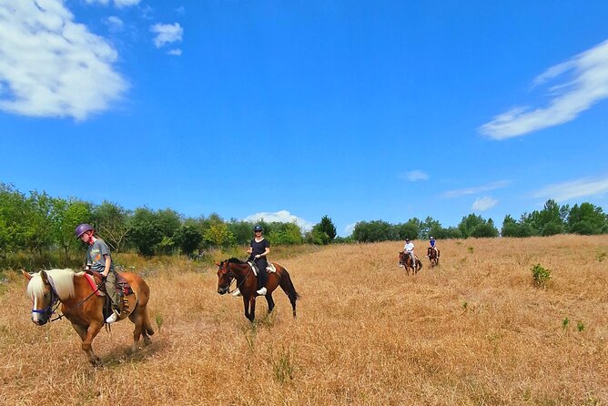 Adventure on horseback in the Tuscan countryside - Who will enjoy this horseback experience?