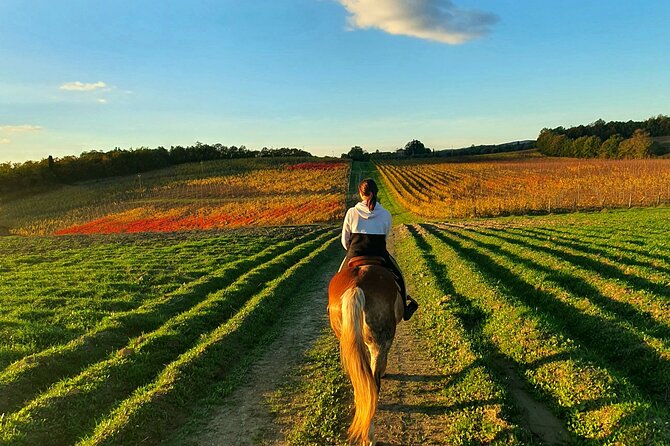 Adventure on horseback in the Tuscan countryside - Weather, timing, and cancellation
