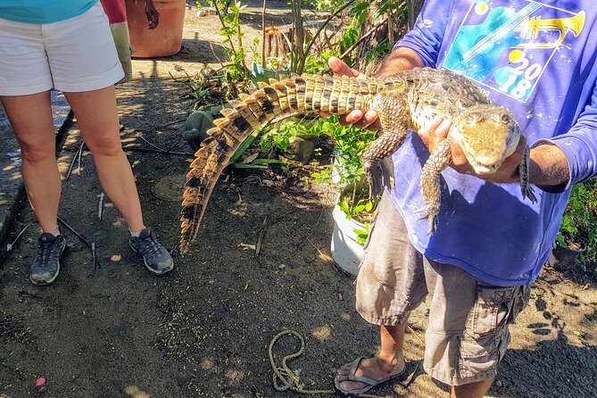 Afro-Mex Village Experience -Horseback Ride -Turtle Hatch & Crocs - Five things to know before you book