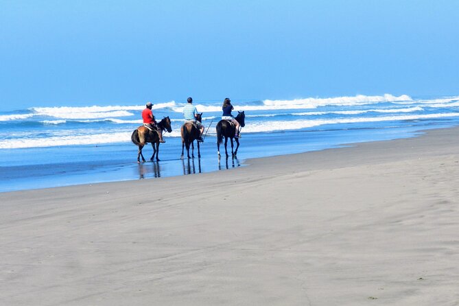 Afro-Mex Village Experience -Horseback Ride -Turtle Hatch & Crocs - Meeting crocodiles at the recently opened farm