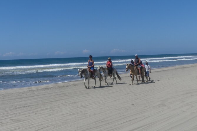 Afro-Mexican Village: Horseback Beach Ride, Crocs & Cliff Diver - Key things to know before booking