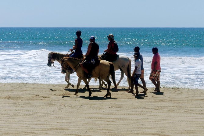 Afro-Mexican Village: Horseback Beach Ride, Crocs & Cliff Diver - Why this five-hour Acapulco outing feels different