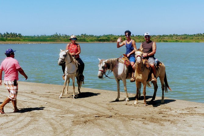 Afro-Mexican Village: Horseback Beach Ride, Crocs & Cliff Diver - Pickup details that can affect your morning