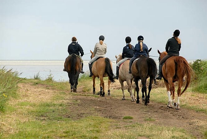Agadir 2-Hour Horse Riding Experience with Pickup - What $40.65 buys you