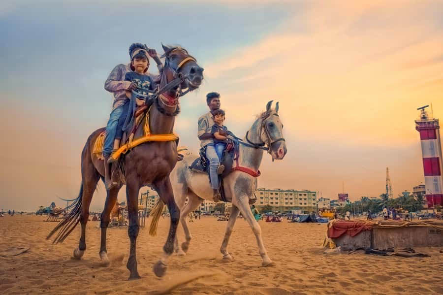 Agadir 2hours Horse Riding visite the flamingo river - What the $22 price really gives you