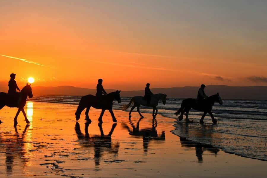 Agadir and Taghazout: 2-Hour Horseback Ride on the Beach - Quick facts about the Agadir and Taghazout horse ride