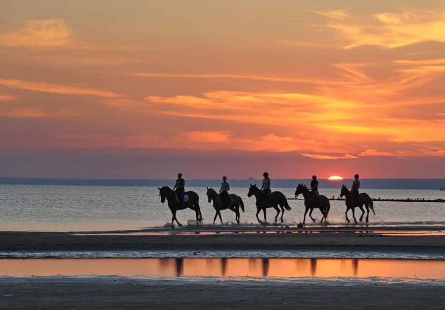 Agadir and Taghazout: 2-Hour Horseback Ride on the Beach - Should you book the Agadir and Taghazout horse ride?