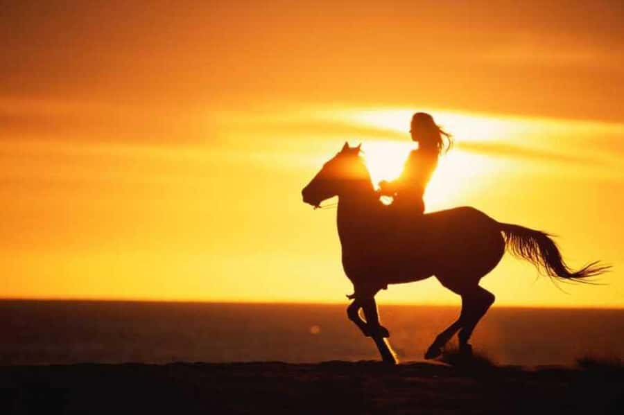 Agadir and Taghazout: 2-Hour Horseback Ride on the Beach - A 90-minute ride beside the Atlantic