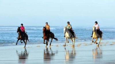 Agadir and Taghazout: 2-Hour Horseback Ride on the Beach