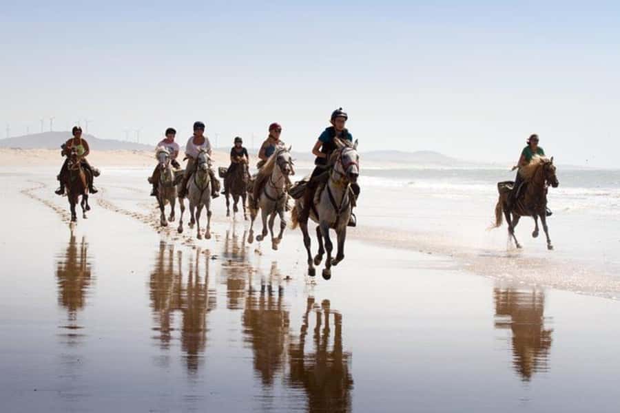 Agadir and Taghazout: 2-Hour Horseback Ride on the Beach - How the guides handle beginners and experienced riders