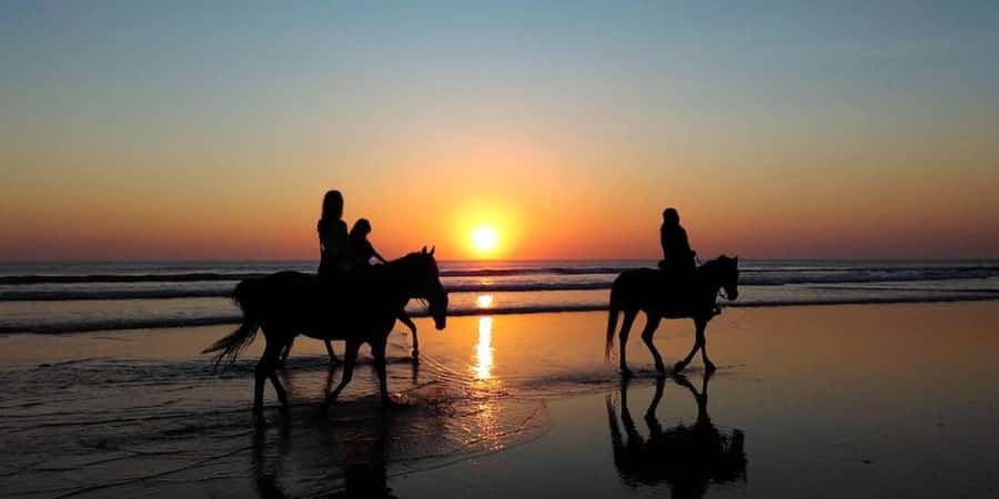 Agadir and Taghazout: 2-Hour Horseback Ride on the Beach - Horse care and the basic ranch setting