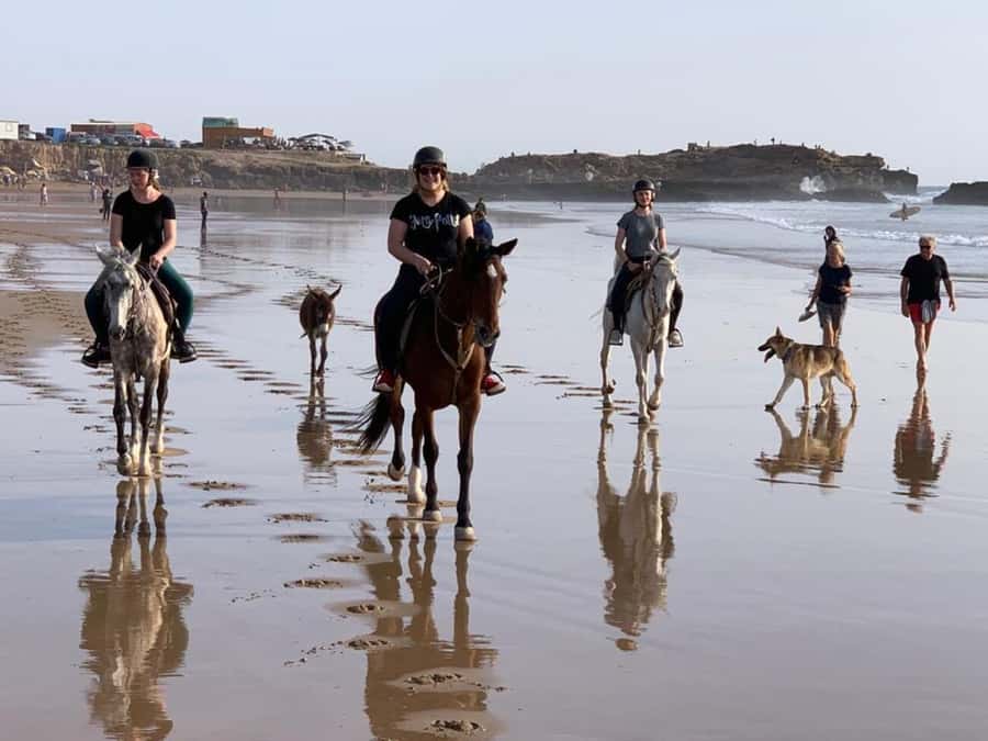 Agadir and Taghazout: 2-Hour Horseback Ride on the Beach - Is $176 good value?